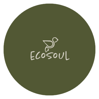 SIA Ecosystem solutions Latvia