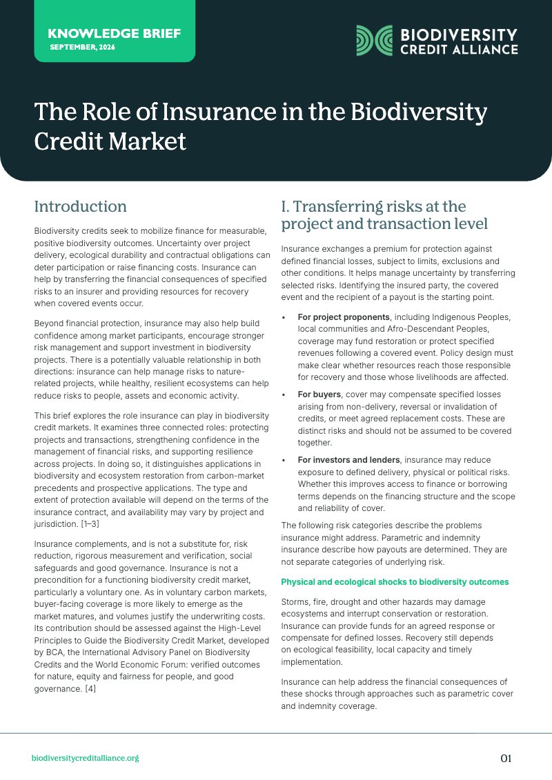 Knowledge Brief cover: The Role of Insurance in the Biodiversity Credit Market